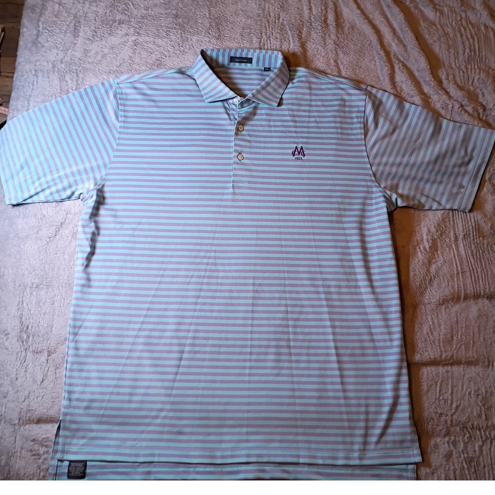 Turtleson Mens XL Golf Polo Shirt Mint Green Lavender Striped Performance M 1923